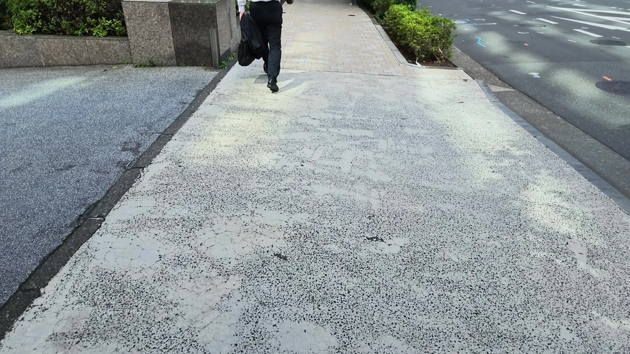 渋谷くん